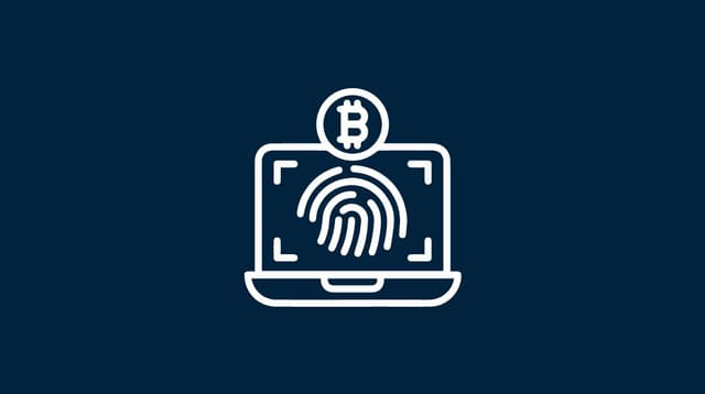What Do Schnorr Signatures Mean for Bitcoin? Towards a More Efficient and Scalable Future