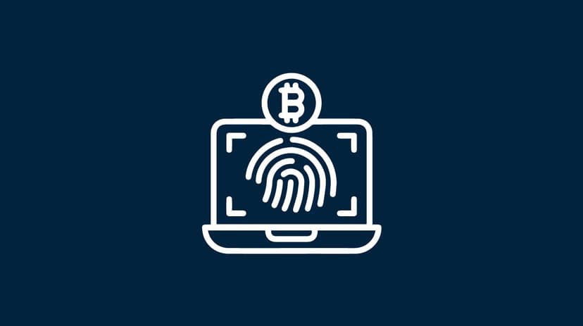 What Do Schnorr Signatures Mean for Bitcoin? Towards a More Efficient and Scalable Future
